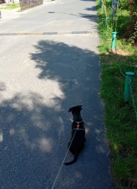Szukam kobiet która zasponsoruje 