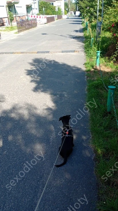Szukam kobiet która zasponsoruje 
